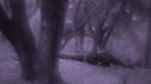 Item #103537636428956788553245855199027552722548685417663804032293973247040413499393 Media