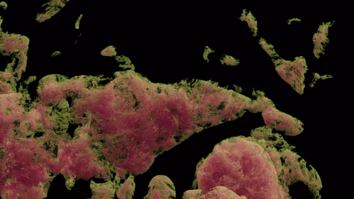 experimentalWorks12