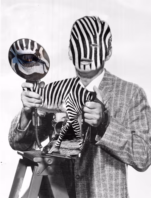 Item #19601376126721180617302450299539769439027664697650217195991253157980957310977 Media