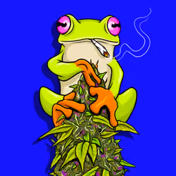 best budz #5
