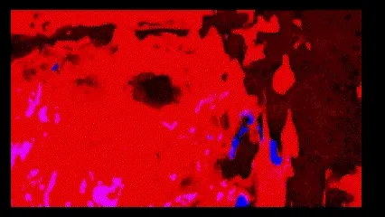 Muddyspirit
