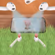 4335129514573515060006212938208877906112326888336554076076382655830443425793