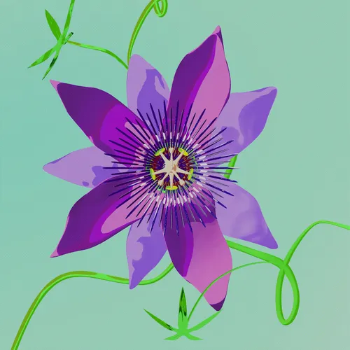 Item #111277502835220488848668857396153750557400918997543607811736850391285639413770 Media