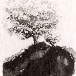 64756886729663901182407683046785870238927910246684417973897385862673792499713