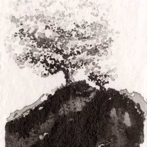 64756886729663901182407683046785870238927910246684417973897385862673792499713