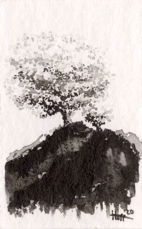 Item #64756886729663901182407683046785870238927910246684417973897385862673792499713 Media