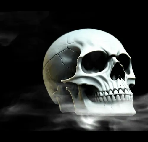 Skull GIF [3D - AI - NFT]