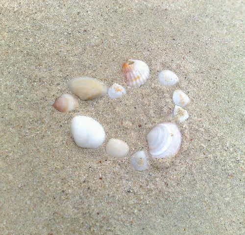 Love at the Beach