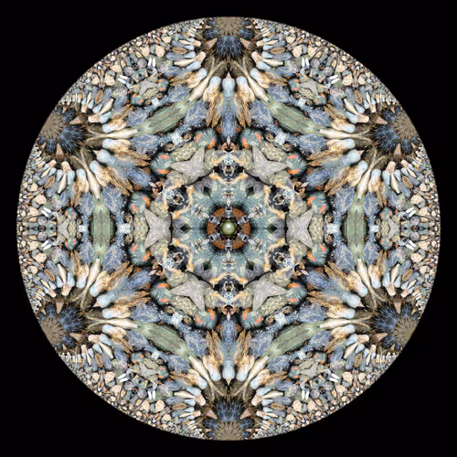 Item #78025697421519854394745813997348957843608354579108460228935444788511552569345 Media