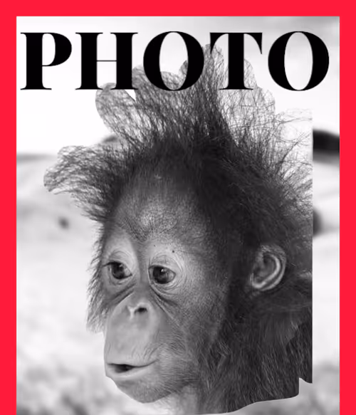 Item #88286218240215411091026158940824295958999214899011490089016545973615256928257 Media