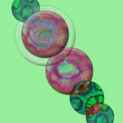 SNAIL