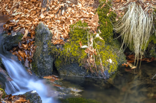 Item #6505089431552554568137386774614394979265528746054988378978093559914008936449 Media