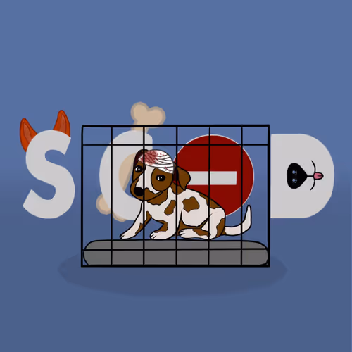 Item #18929025953091685879740265421444029621973902778044225700407145450610471469057 Media