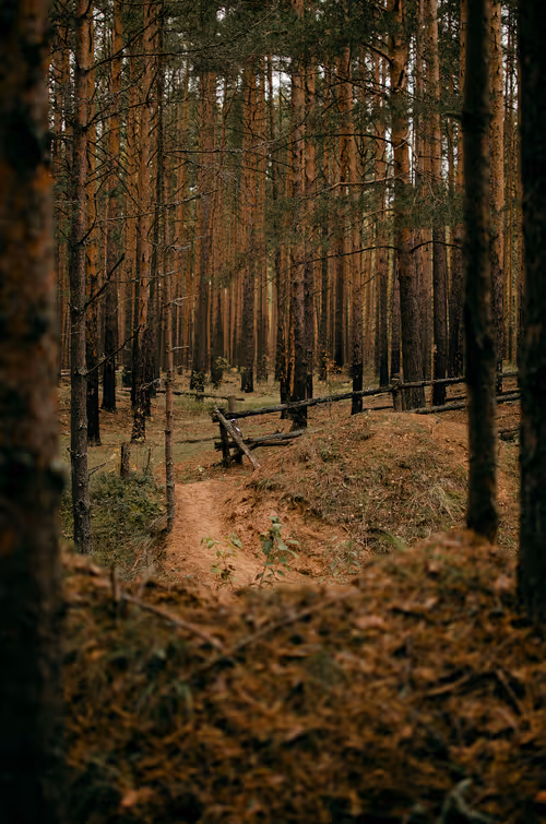 Item #89749655781633695214918973850275472722969414754438239918620403779837825646593 Media