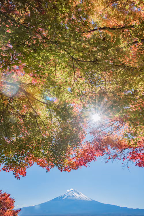 Item #108911492996146874115956011896780761878527851196280444702557873454495247106049 Media