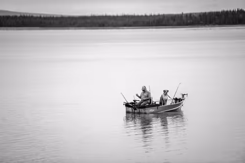 Item #84834639463328091260484975677994672960317612935287513554023817904609657094145 Media