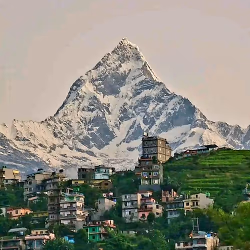 Luckspoon Collection - old