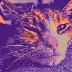 One eye open