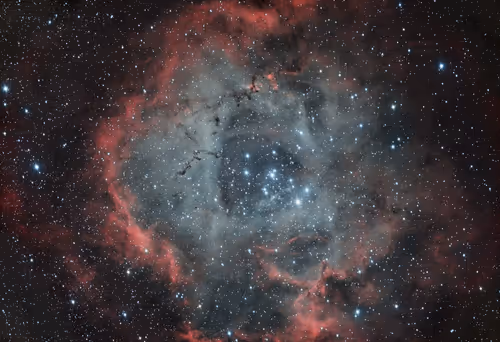 Item #97012587499429790410891449160678480242107377463649634715950859397733332025345 Media