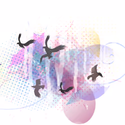 Splash #002