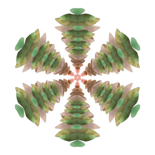 Item #105598432229104396590244618898353407233161156696249513419484439854716974792705 Media