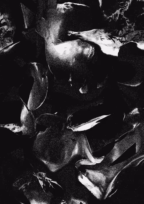 Item #84549849779218619917561934107115343944433194372086458083457436789249172045825 Media