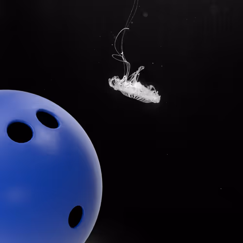 Item #3430565109855428148014555979724028545778279334899879716249393308930764963841 Media