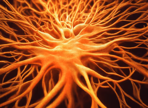 Item #98695163844141812296559601516468632585703412525772017875852753167004391702529 Media