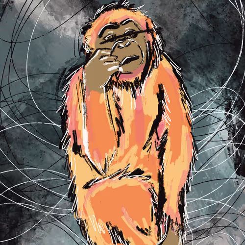 99439912602720776733516043861900709012959569686069937248722781543395946921985