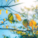 Dreamy days  -Charity Collection for Ukraina-