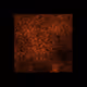 12032733712256437664215437925069129638151898554142308319368358964218636009473