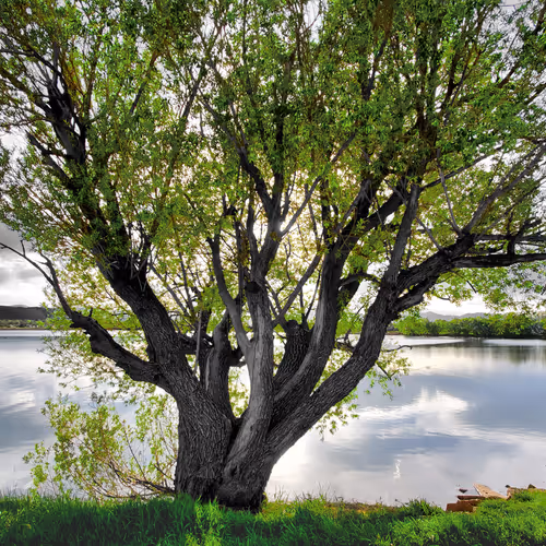 Untitled Collection #83821418 - old