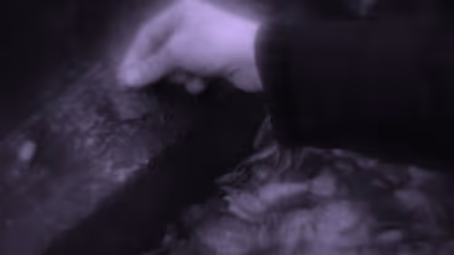 Item #103537636428956788553245855199027552722548685417663804032293973229448227454977 Media