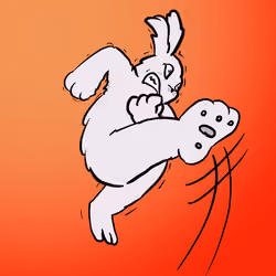 rabbit 008