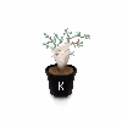 37099701154681292304364637748686122485148065028785244732374660160624103784449