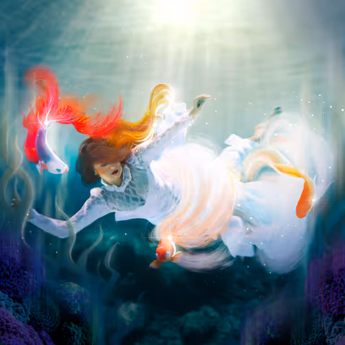 Item #84984923083435644015764742440498258625584594510930322345764317138910250532865 Media