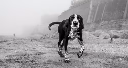 Item #95979719435638396747386199908027492606241793835179361379046606522501130354689 Media