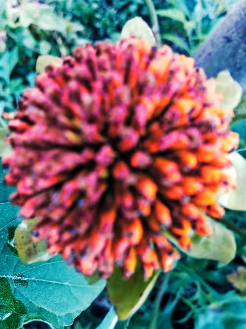 Item #6030034641145490861292793517900780524164723891324661626566554616206928642049 Media