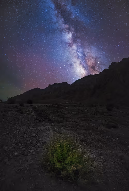 Item #9425749833926335333001150146280296056948702908253502131347533641960713617409 Media