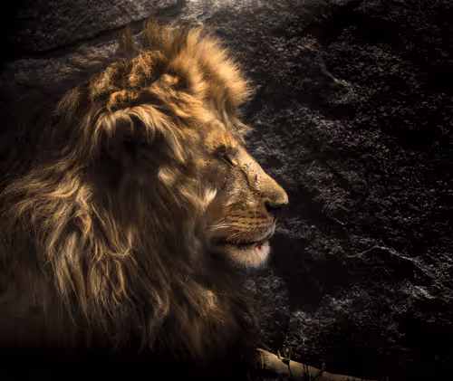 Item #46146454175190830687847236221543248864679735900060228179798027760507300085761 Media