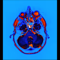 64162533542198579898252916190583583845604629893829087458582975949202157207553