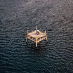 100600280271040798317723628260513137156606623100883316454227272193637454184449