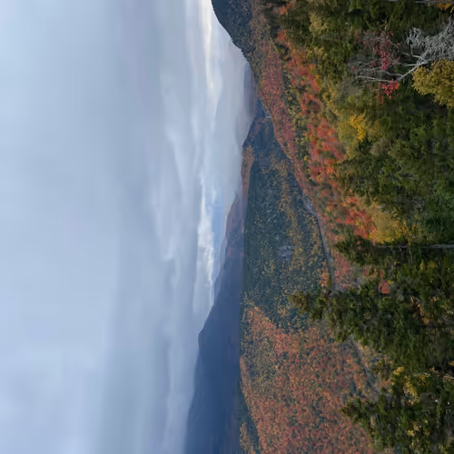 Untitled Collection #61151925