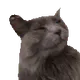 84574703276472048473917161317391012884841395739178049891614688791691201085441