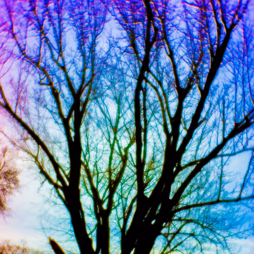 Item #35965218379738729691291467168286792303482134167127854404987491640561459265537 Media