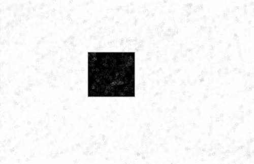 Item #114661251543464844760749103076579361597923936375463384095912983290024111898625 Media