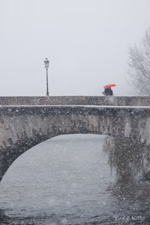 Item #111326101478107214990251795731047965840392207690526379209547236972991063523329 Media