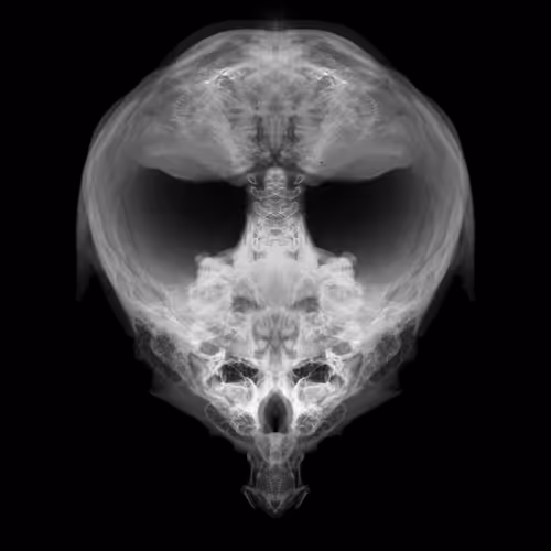 Item #85859191866638808365331437874953228966785819470149775310971063199943714930689 Media