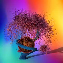 25801989892845548526565125197399663131241948966790422528009307223765706342401