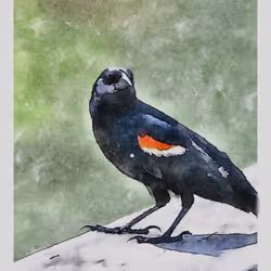 55704534837685659622621715309832868758345944585427688586690141454246761988097